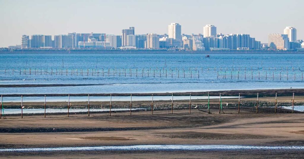 船橋の新築マンション事情｜価格相場・注目エリアと大手物件の選び方